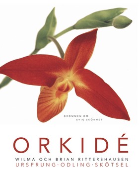 Orkidé. Drömmen om evig skönhet