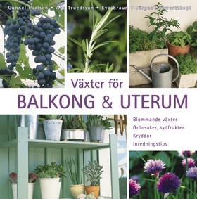 Växter för balkong & uterum